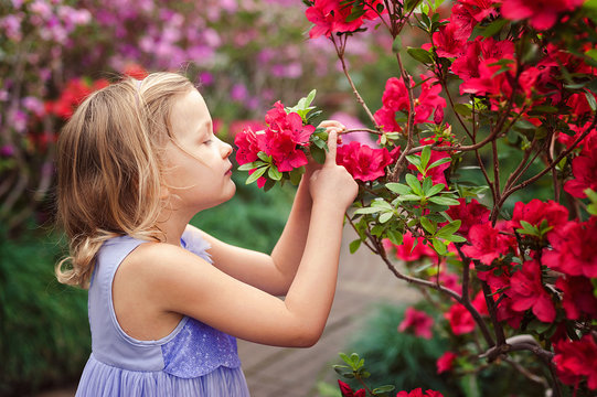 girl sniffing flowers of azaleas. flowering azaleas in the park