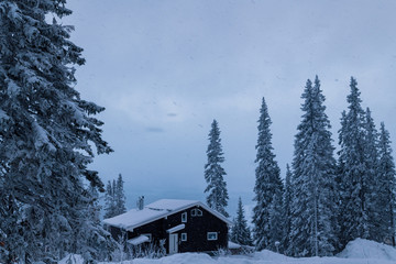 leisure house in winter forest at ski resort
