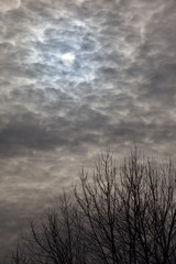 Fototapeta na wymiar sun behind clouds