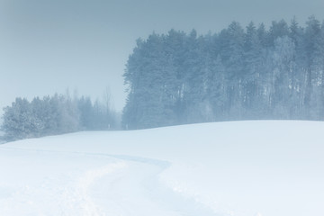 Winter landscape with forest