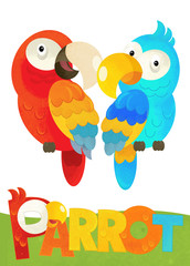 cartoon scene with happy parrot on white background with name sign of animal - illustration for children