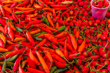 bench of red peppers