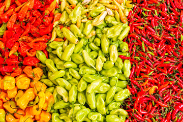 bench with varieties of peppers