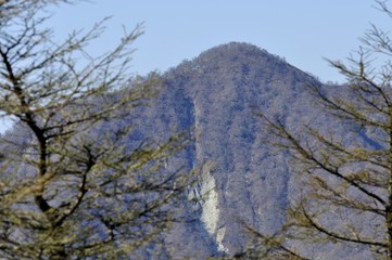 カラマツ越しの檜洞丸