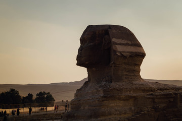 sphinx at sunset