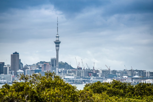 A Beautiful Photo Of Auckland City With Lots Of Cranes Building Appartment Buildings