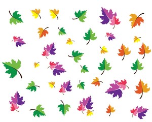 Fototapeta na wymiar autumn logo vector template