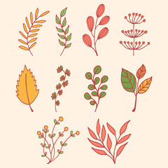 spring floral illustration vector