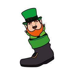 leprechaun in boot saint patrick character