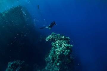 Fototapeta na wymiar Free diver underwater in ocean with rocks and corals