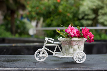Bicycles carry a basket of flowers, greeting cards