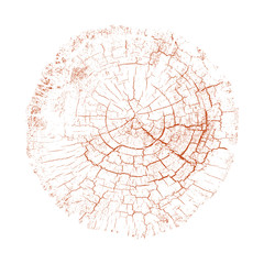 Wood texture of growth ring pattern from a slice of tree. Cut monotone wooden stump isolated on white.