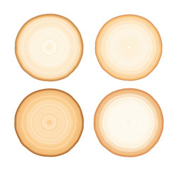 Wood texture of growth ring pattern from a slice of tree. Cut monotone wooden stump isolated on...