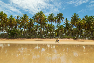 Ilha de Boipeba - Cairu Bahia