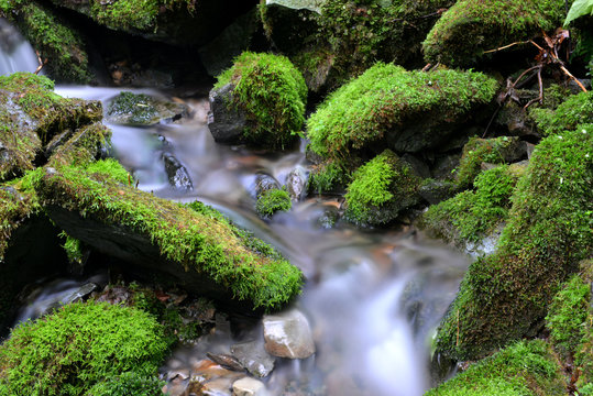 물줄기 Images – Browse 755 Stock Photos, Vectors, and Video | Adobe Stock