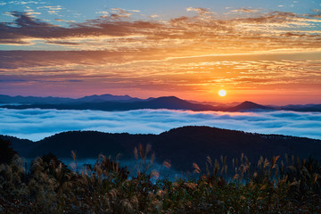 Autumn sunrise over the huge valley filled with cloud sea