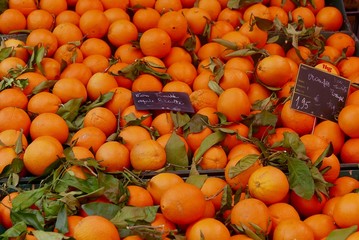 Oranges for sale in france market