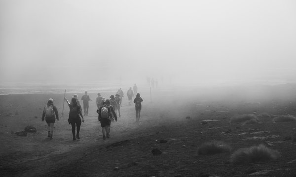 people walking on fog