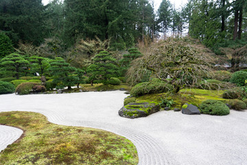 Naklejka premium bonzai tree in sand garden