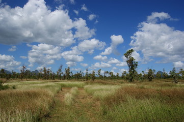 Obraz premium Mauritius Trauminsel