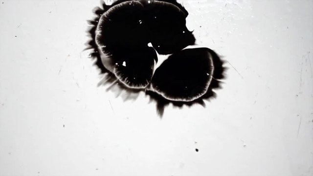 Blurry black ink blot on white background. Motion graphics.