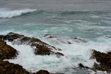 Pacific Ocean along the 17 miles road. California, USA