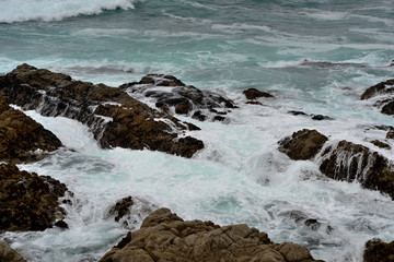 Obraz premium Pacific Ocean along the 17 miles road. California, USA