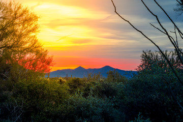 Desert landscape photographs with the backdrop of a colorful sky as the sun sets in the desert wilderness east of Phoenix, Arizona. The cactus become silhouettes as do the desert mountains against the