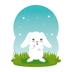 cute rabbit in the field character