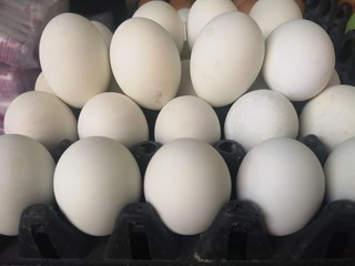 Salted Duck Eggs on black panel