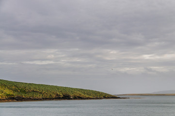 The Falkland Islands Coast
