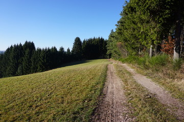 Fototapeta na wymiar Schwarzwald im Herbst