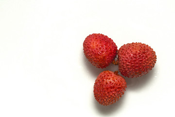 Three Fresh juicy Lychees in a pile on a white background. Lychee isolated on white background. Delicious fruit 
