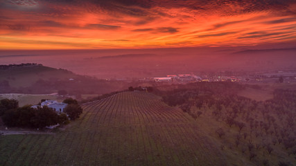 Paso Robles Sunrise