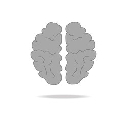 Brain icon vector