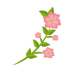beautiful flower decorative icon