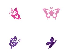 Fototapeta na wymiar Butterfly icon and symbol template