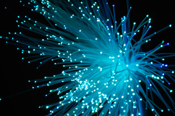 Fototapeta premium Macro shots of Fiber optics glass strands