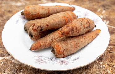 Boiled carrots in a plate on the table
