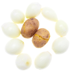 Peeled onions and potatoes on a white background
