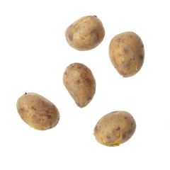 Boiled potatoes isolated on white background