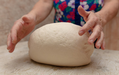 Woman kneads dough with hands in the kitchen