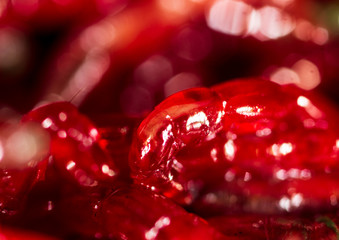Red worms bloodworms as background
