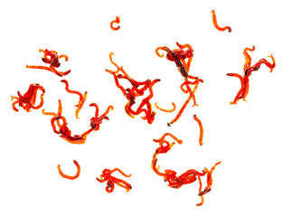 Red worm moth on white background