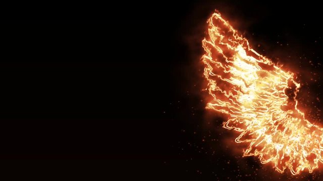 Fire wing animation backgound