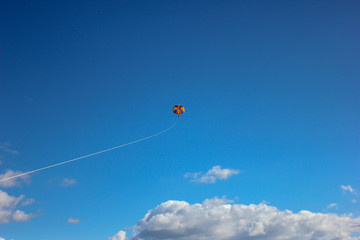 Paragliding in the blue summer sunny sky. paragliding with clouds.