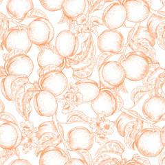 Apricots and flowers. Vector seamless pattern. Vintage style