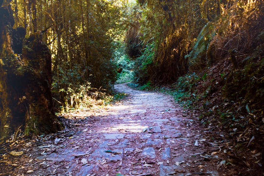 Follow the path of life 