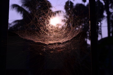SUN SET 