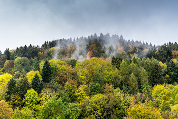 Germany, Magic colorful misty autumn forest landscape